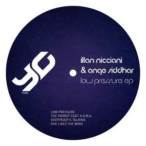 The Parrot (Original Mix)