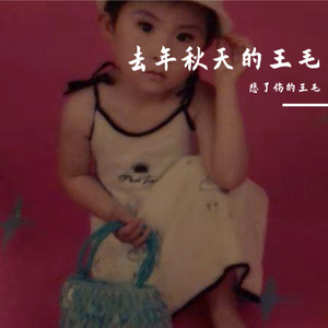 去年秋天的王毛