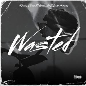 Wasted (feat. Jackson Morrow & Gavin2Huncho) [Explicit]