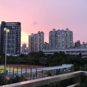 落叶