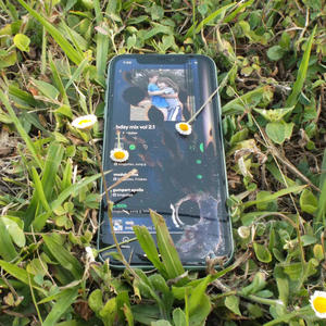 colors / mosh (Explicit)