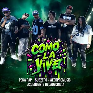 Como la vivo (feat. ****promusic, Ascendente decadencia & Subzero) (En vivo)
