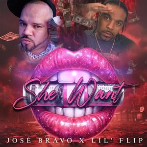 She want (feat. Lil Flip) [Explicit]