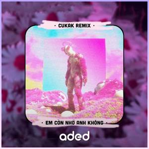 Em Còn Nhớ Anh Không? (Cukak Remix)