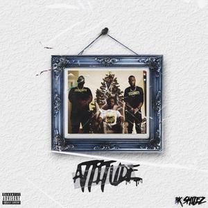 Attitude (Explicit)