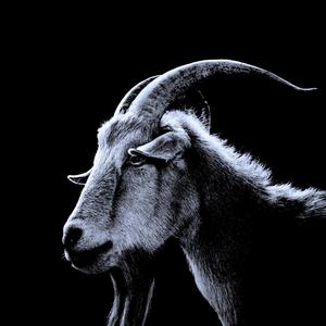 No Pueden Frena (feat. Blicky3, Ghost, Choko Outside & NYB) (Explicit)