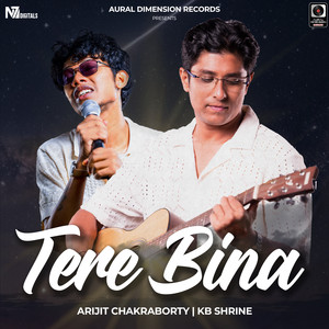 Tere Bina