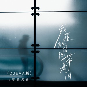 我懂的道理带着泪(DJ EVA版)
