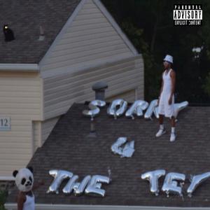 The Noise (feat. $weeten) (Explicit)