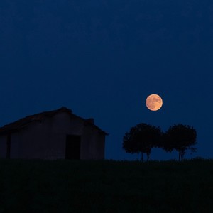 如果这就是爱情