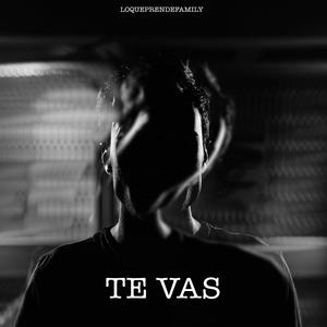 TE VAS (feat. Verzacordx)