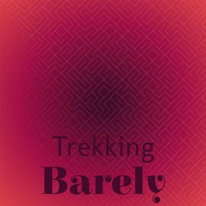 Trekking Barely