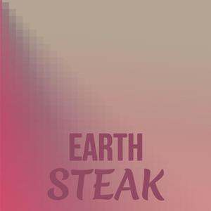 Earth Steak