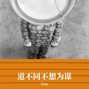 Adele-道不同不想为谋 (Liar remix)