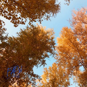 More Light (Explicit)