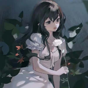 公主殿下