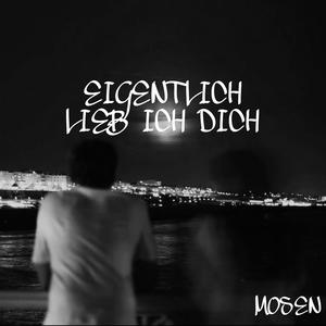 Eigentlich lieb ich dich (Explicit)