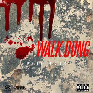 POIL BOSS ~ WALK DUNG (feat. ShaneRoss) [Explicit]