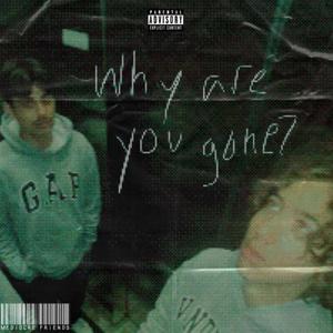 WHY ARE YOU GONE? (Explicit)