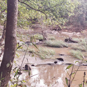 I've been waiting for a good time