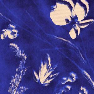 Laura Galindo - i went swimming yesterday (dreamphone flip)