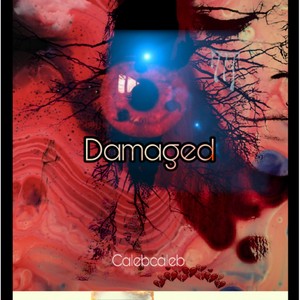 Damaged (Explicit)