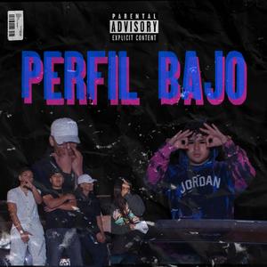 PERFIL BAJO (feat. Fauzto) [Explicit]