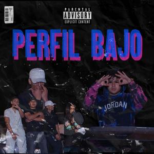 Perfil Bajo (feat. Fauzto la Ele) (Explicit)