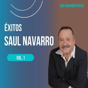 Éxitos De Saul Navarro