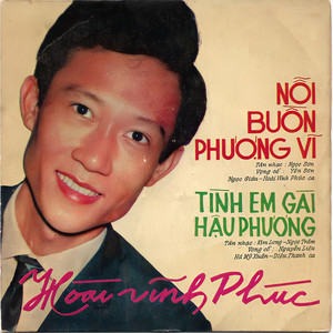 Nỗi Buồn Phượng Vĩ