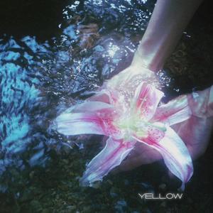 Yellow (COVER版)