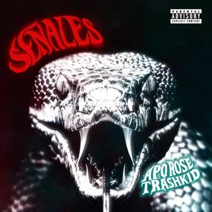 SEÑALES (feat. Youngxto) (Explicit)