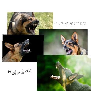 I'm Not An Angry Dog (Explicit)