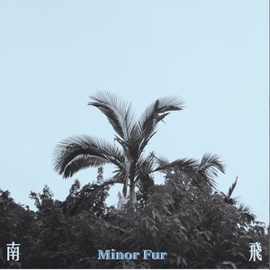 南 飞 (Original Mix)