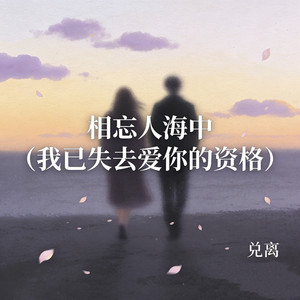 相忘人海中 (我已失去爱你的资格)