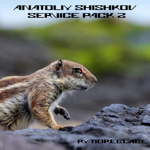 Anatoliy Shishkov - Service Pack 2