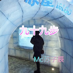 我的小可爱 (空拍)