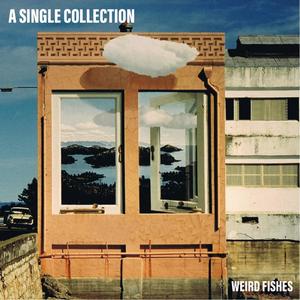 Dance of the Molecules