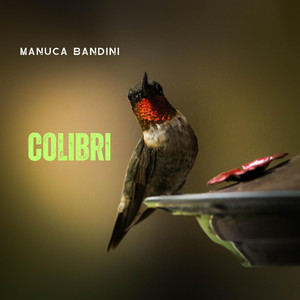 Colibri