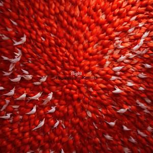 flight (Squarelove Remix)
