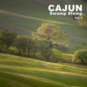Cajun Swamp Stomp, Vol. 3