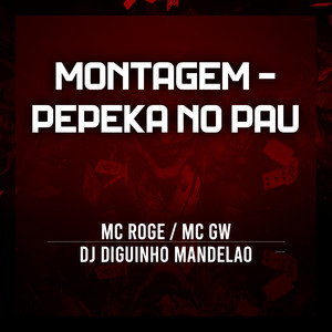 Montagem - Pepeka no Pau (Explicit)