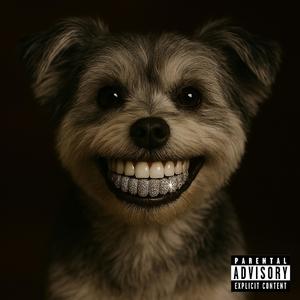 Sparcc (feat. Ro) (Explicit)