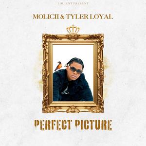 Perfect Picture (feat. Tyler Loyal) (Explicit)