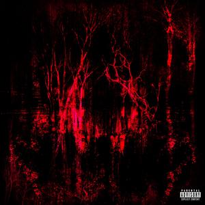 #READY (feat. pcmslay) (Explicit)