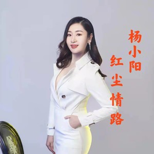 红尘情路 (DJ何鹏版)