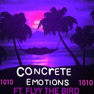 Concrete Emotions (feat. Flyy The Bird) [Explicit]