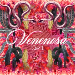 Venenosa, Vol. 1