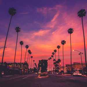 你的月亮我的心