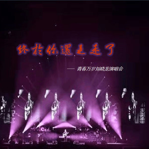 终于你还是走了 (Live)